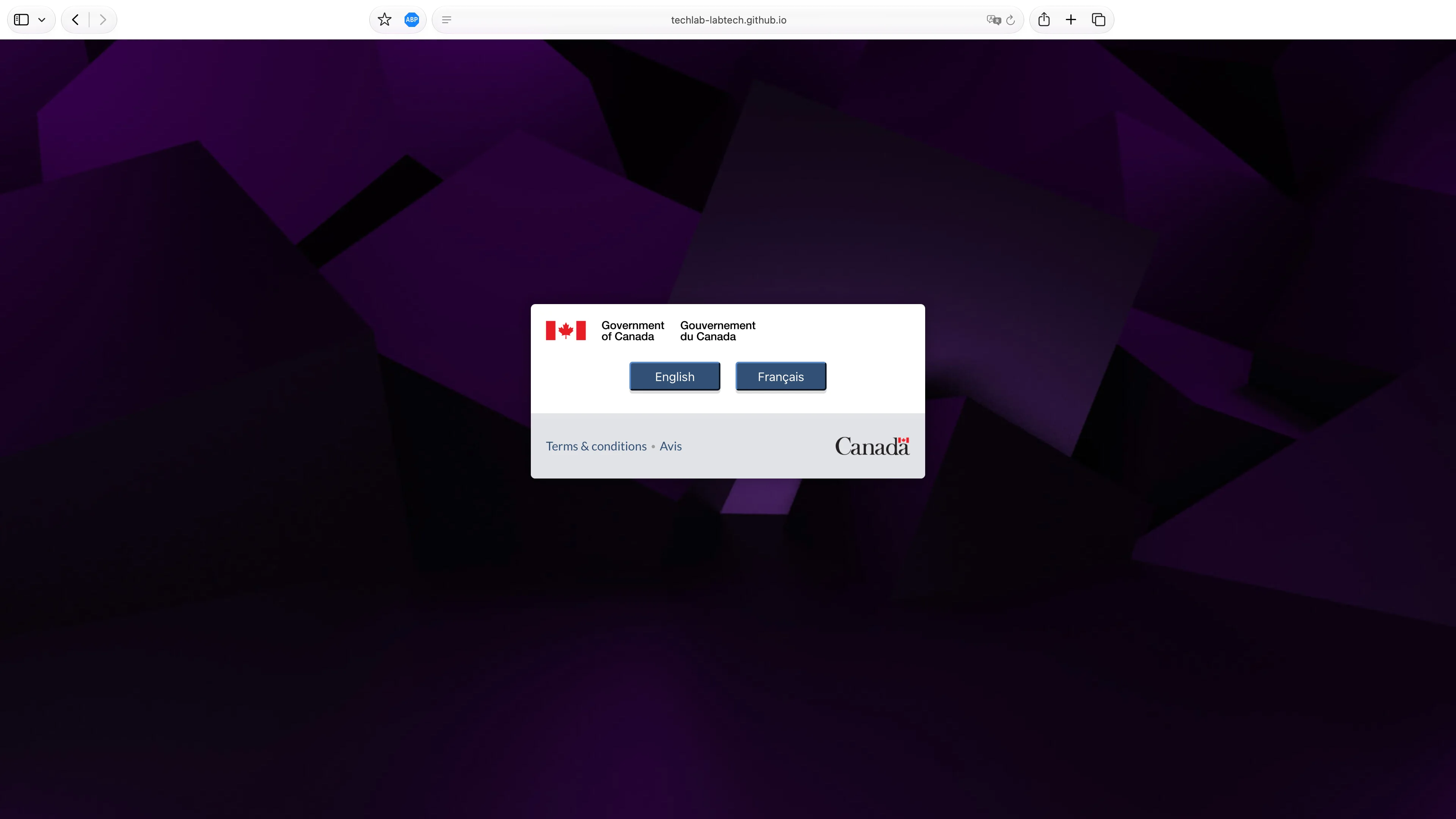 a screenshot of the vExpo language selection screen